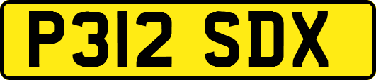 P312SDX