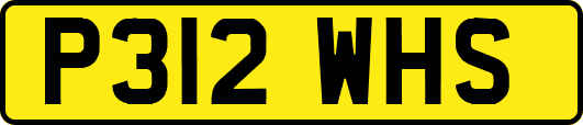 P312WHS
