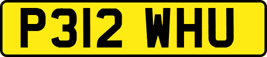 P312WHU