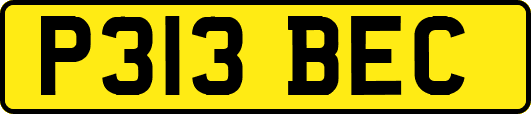 P313BEC