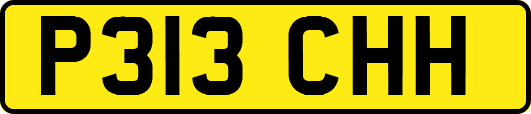 P313CHH