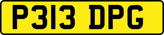 P313DPG