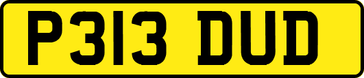 P313DUD