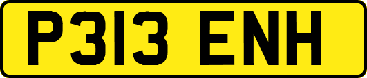 P313ENH