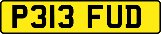 P313FUD