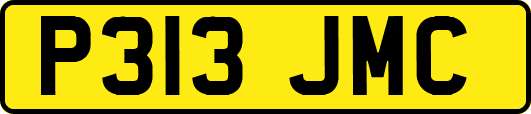 P313JMC