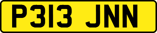 P313JNN