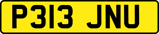 P313JNU