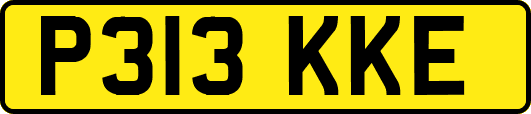 P313KKE