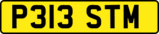 P313STM