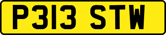 P313STW