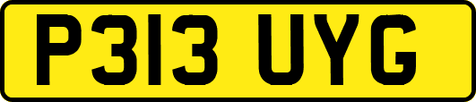 P313UYG