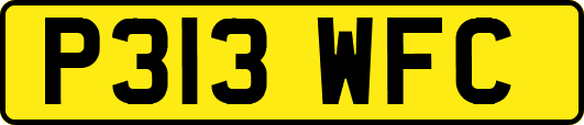 P313WFC