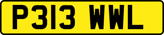 P313WWL