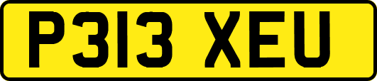 P313XEU