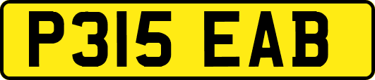 P315EAB