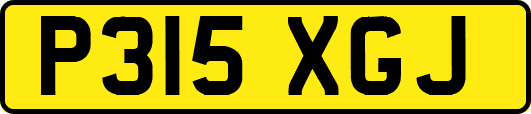 P315XGJ