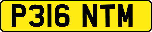 P316NTM