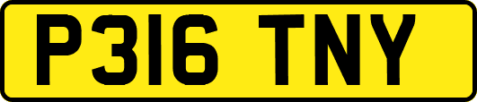 P316TNY