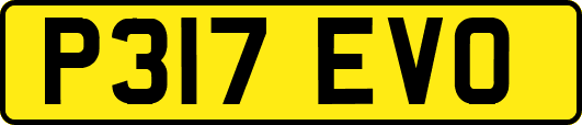 P317EVO