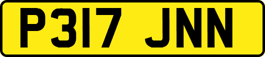 P317JNN