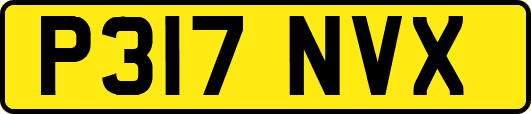 P317NVX