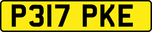 P317PKE