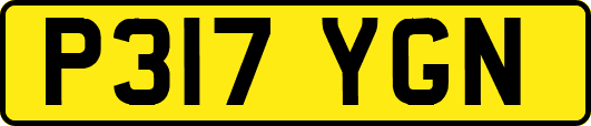 P317YGN