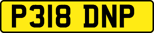 P318DNP