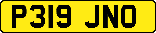 P319JNO