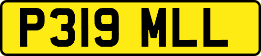 P319MLL