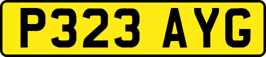 P323AYG