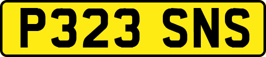 P323SNS
