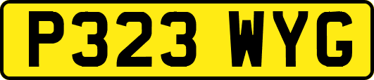 P323WYG