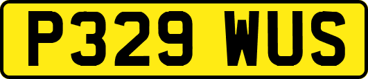 P329WUS