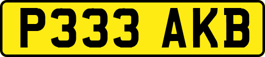 P333AKB