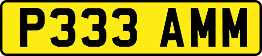 P333AMM