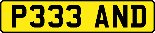 P333AND