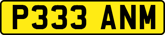 P333ANM