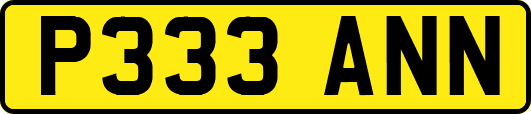 P333ANN