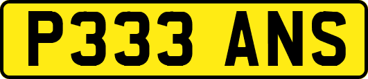 P333ANS