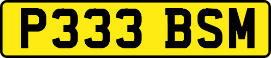 P333BSM