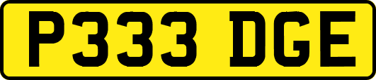 P333DGE