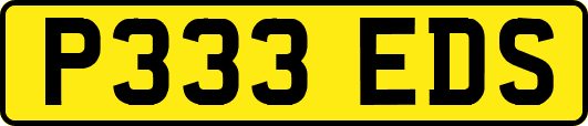 P333EDS