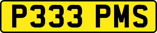 P333PMS