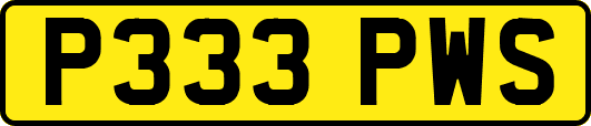 P333PWS