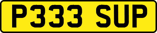 P333SUP