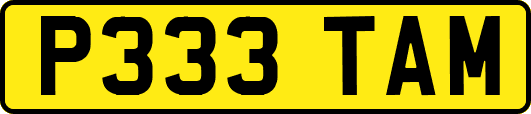 P333TAM