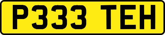 P333TEH