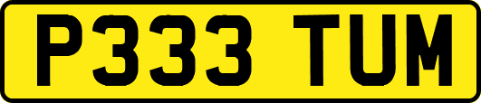 P333TUM